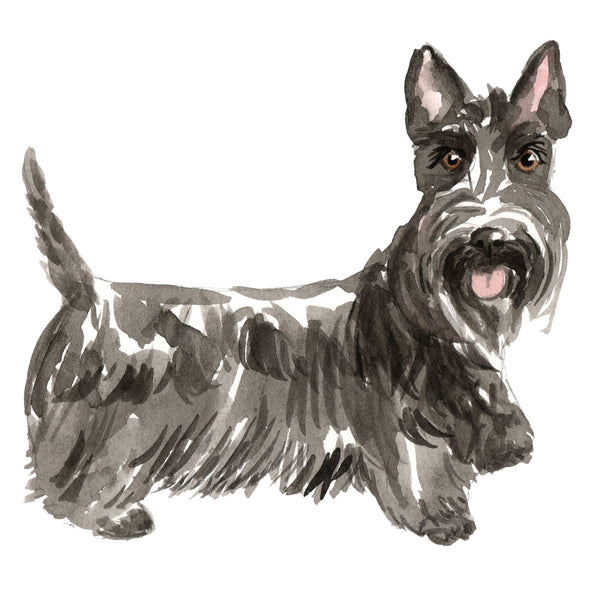 Dog Decals - 81 Dog Breeds - Mix and Match - My Wonderful Walls