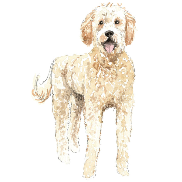 Dog Decals - 81 Dog Breeds - Mix and Match - My Wonderful Walls