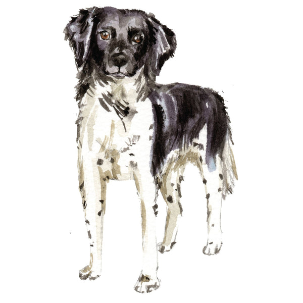 Dog Decals - 81 Dog Breeds - Mix and Match - My Wonderful Walls