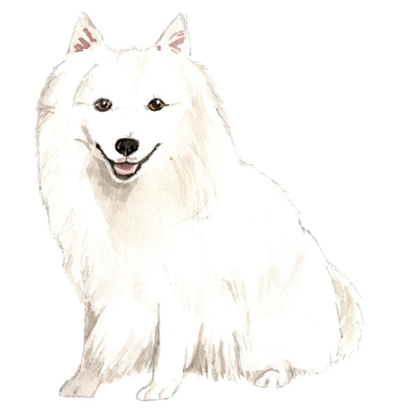 Dog Decals - 81 Dog Breeds - Mix and Match - My Wonderful Walls