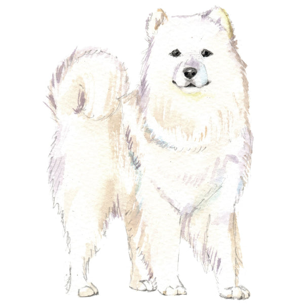 Dog Decals - 81 Dog Breeds - Mix and Match - My Wonderful Walls