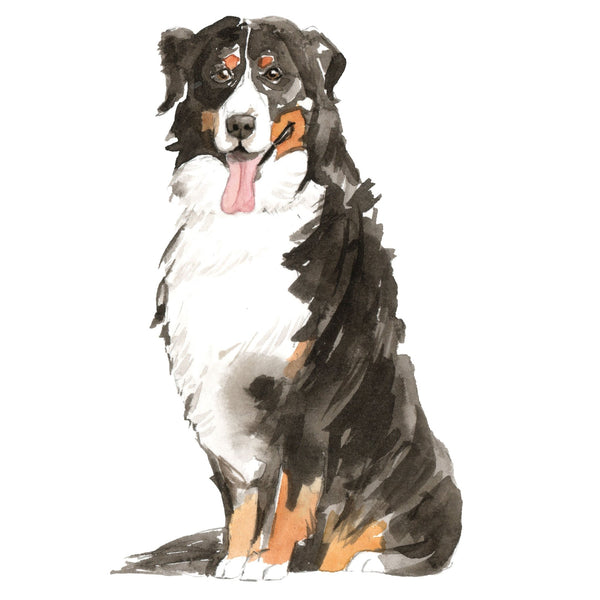 Dog Decals - 81 Dog Breeds - Mix and Match - My Wonderful Walls