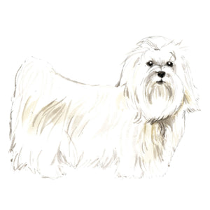 Dog Decals - 81 Dog Breeds - Mix and Match - My Wonderful Walls