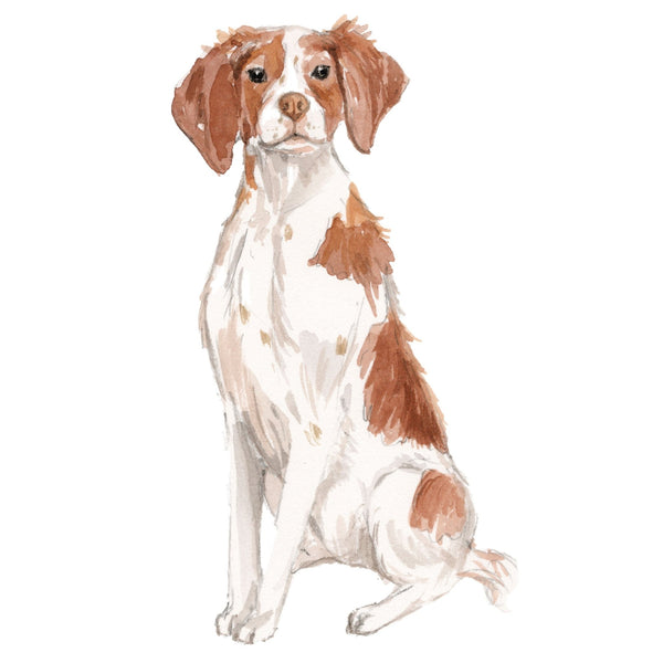 Dog Decals - 81 Dog Breeds - Mix and Match - My Wonderful Walls