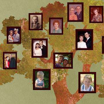 family tree sticker