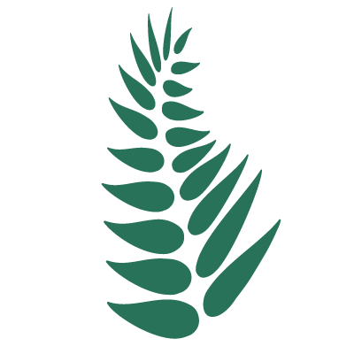 fern stencil
