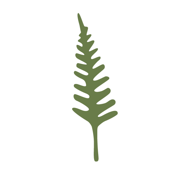 fern stencil