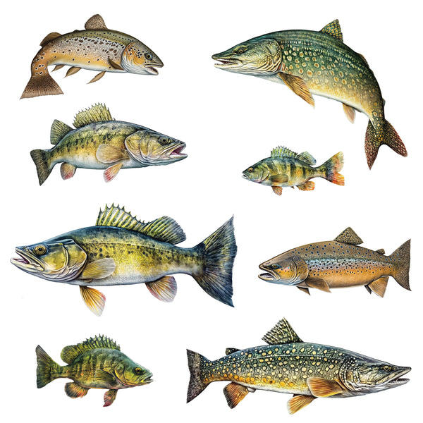 Fish wall decals