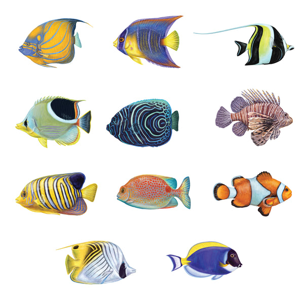 Tropical Fish Decals 