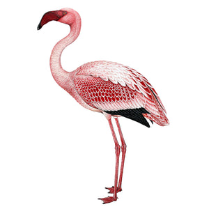 Flamingo Wall Decal