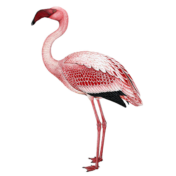 Flamingo Wall Decal