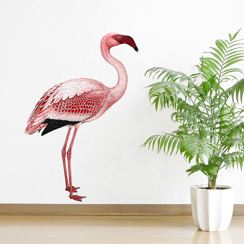 Flamingo Wall Decal