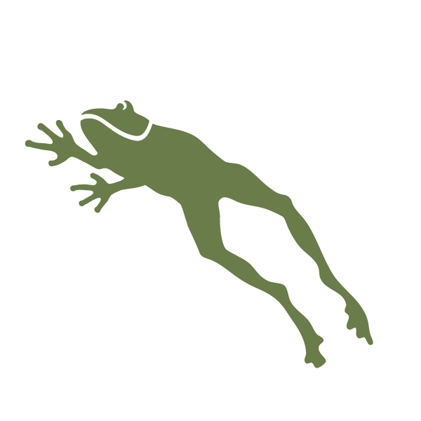 frog stencil