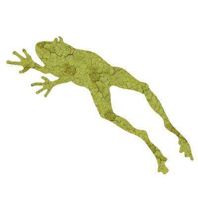 frog sticker