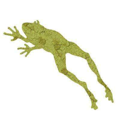 frog sticker