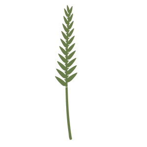 grass stencil 1