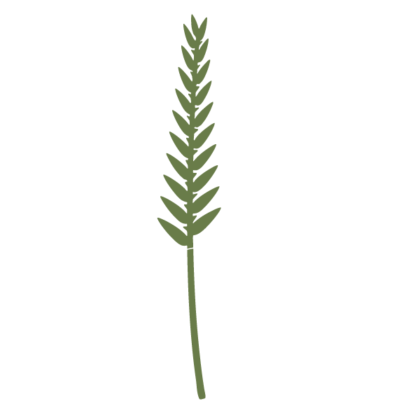 grass stencil 1