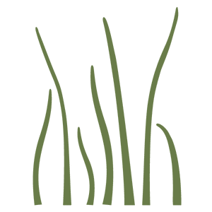 grass stencil