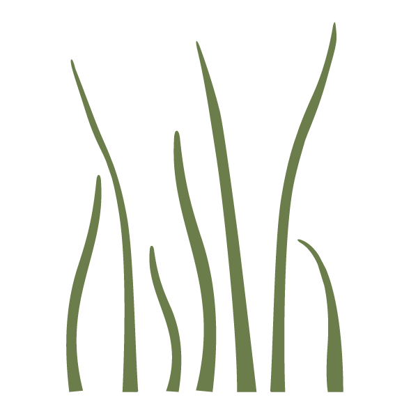 Grass Stencil 2
