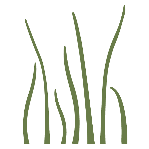 Grass Stencil 3