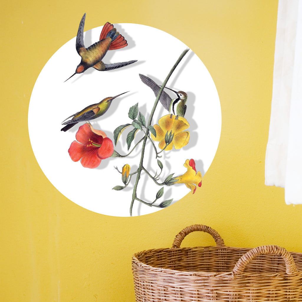 Hummingbird Decal