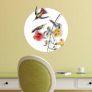 Hummingbird Decal