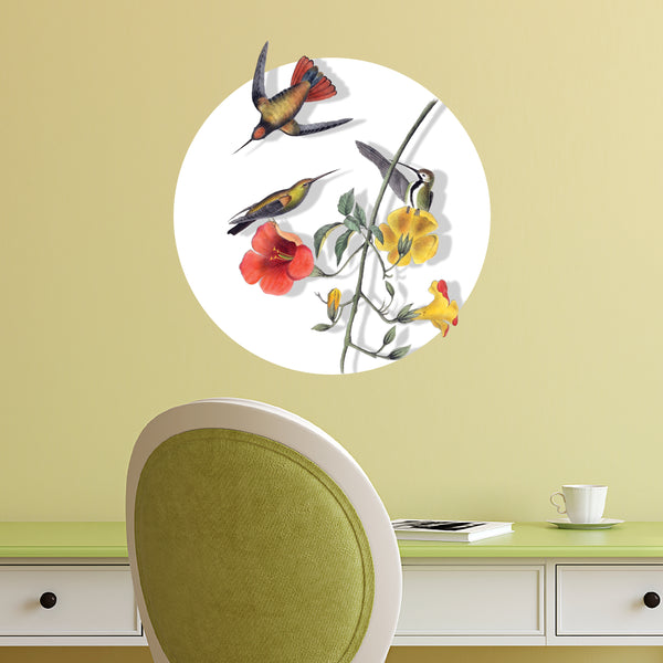 Hummingbird Decal