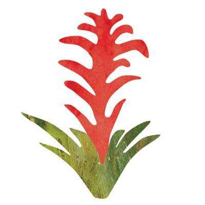Jungle Safari Wall Decal Sticker Kit - JUMBO SET - My Wonderful Walls