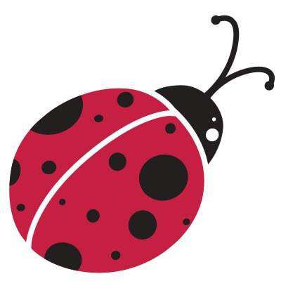 Ladybug Stencil 4