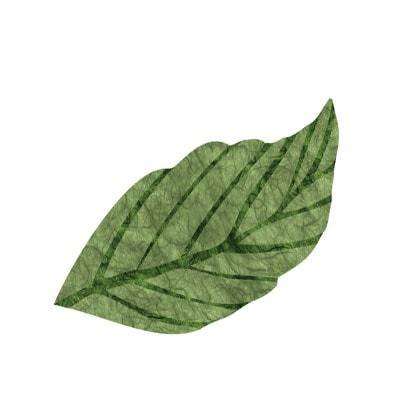 leaf sticker