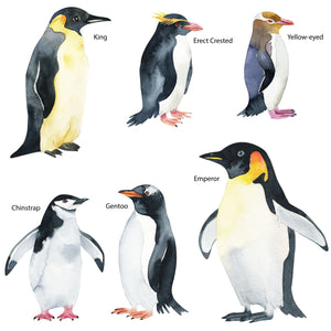 Penguin Wall Decals