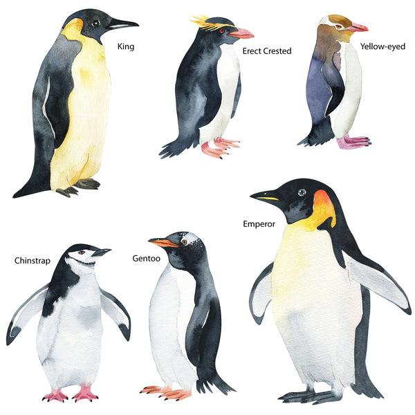 Penguin Wall Decals