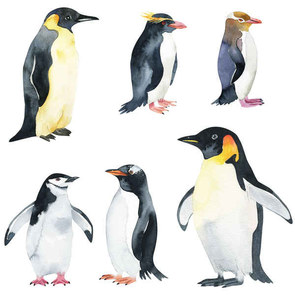 Penguin Wall Decals