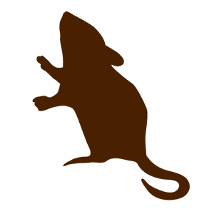 mouse stencil