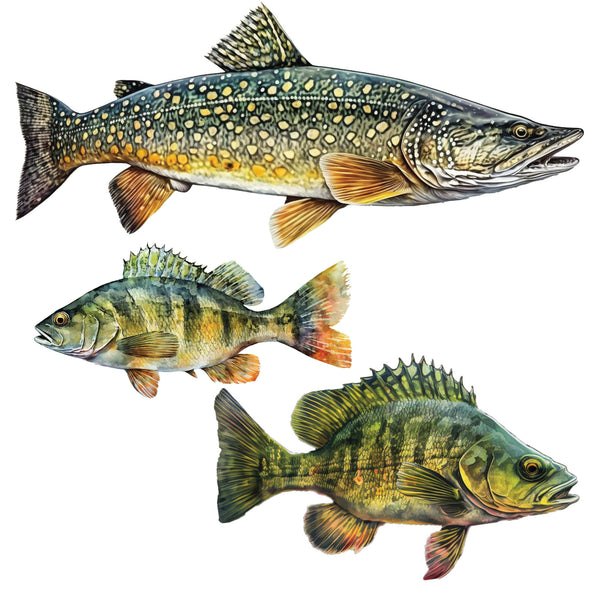 Fish wall decals