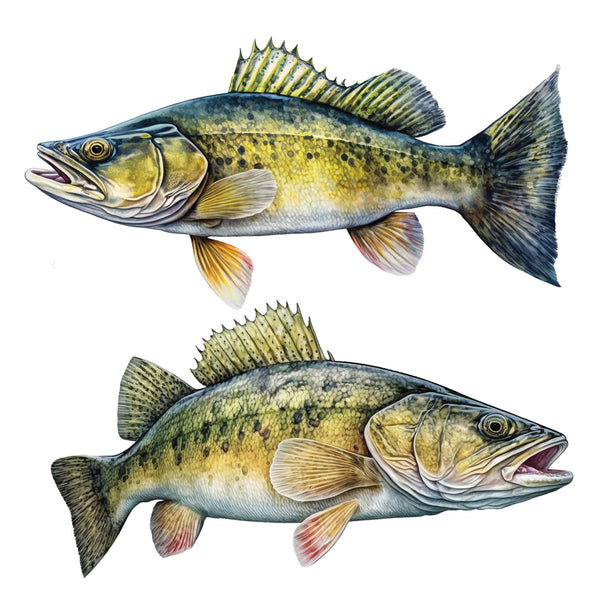 Walleye decal