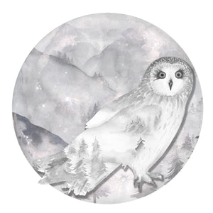 Owl Wall Decal