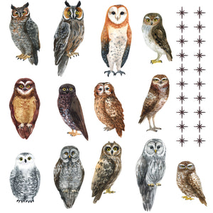 Watercolor Owl Pattern Wall Decal Set