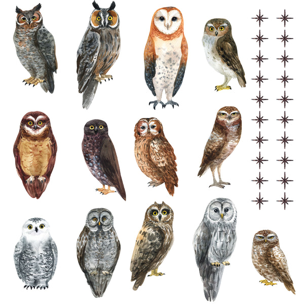 Watercolor Owl Pattern Wall Decal Set