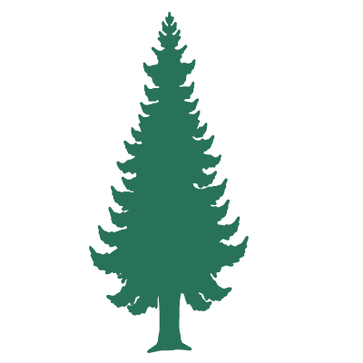 pine tree stencil