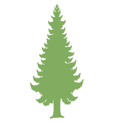 Pine Tree Stencil 2