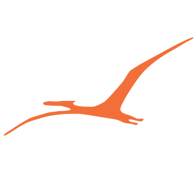 Pterodactylus Dinosaur Stencil