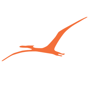 Pterodactylus Dinosaur Stencil