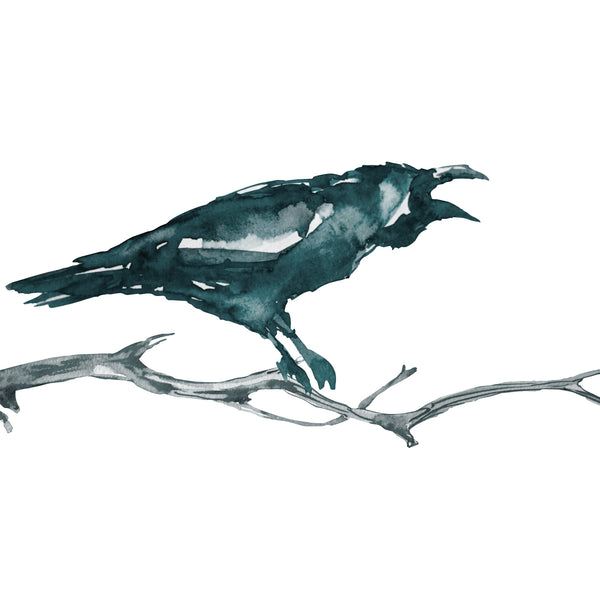 Raven Decal - Crow Decal - Halloween Decoration 