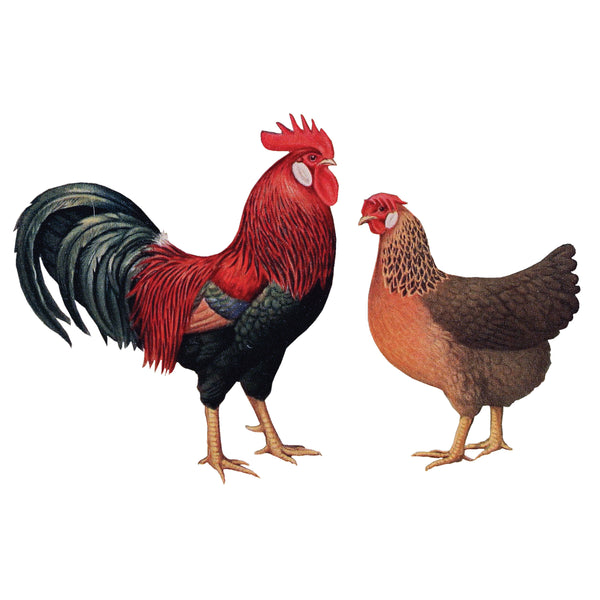 Rooster and Hen Stickers