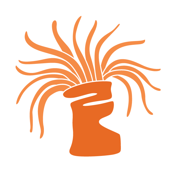 sea anemone stencil