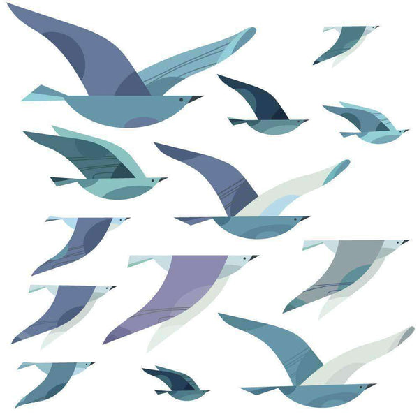 Sea bird wall stickers