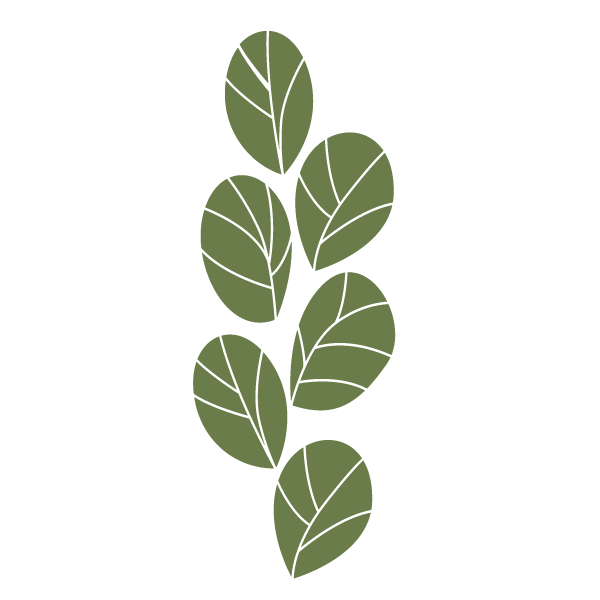 Sea Plant Stencil