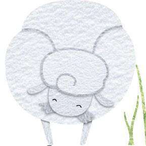sheep sticker