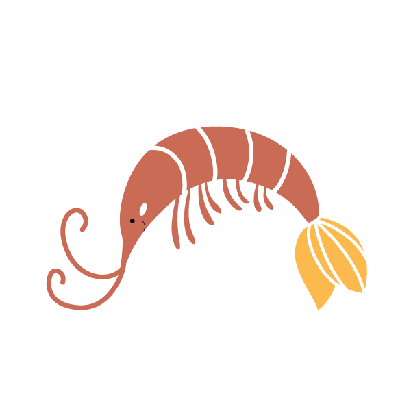 Shrimp Stencil